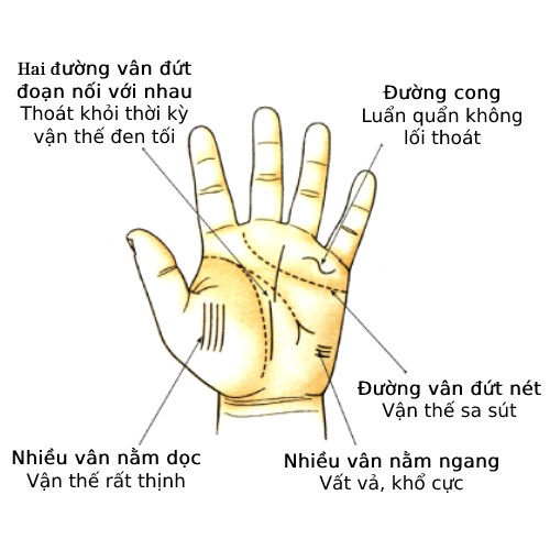 Đặc trưng các đường vân trên lòng bàn tay
